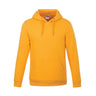 Unisex Pullover Hoodie - CSW 24/7
