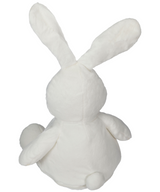 Buddy Bunny